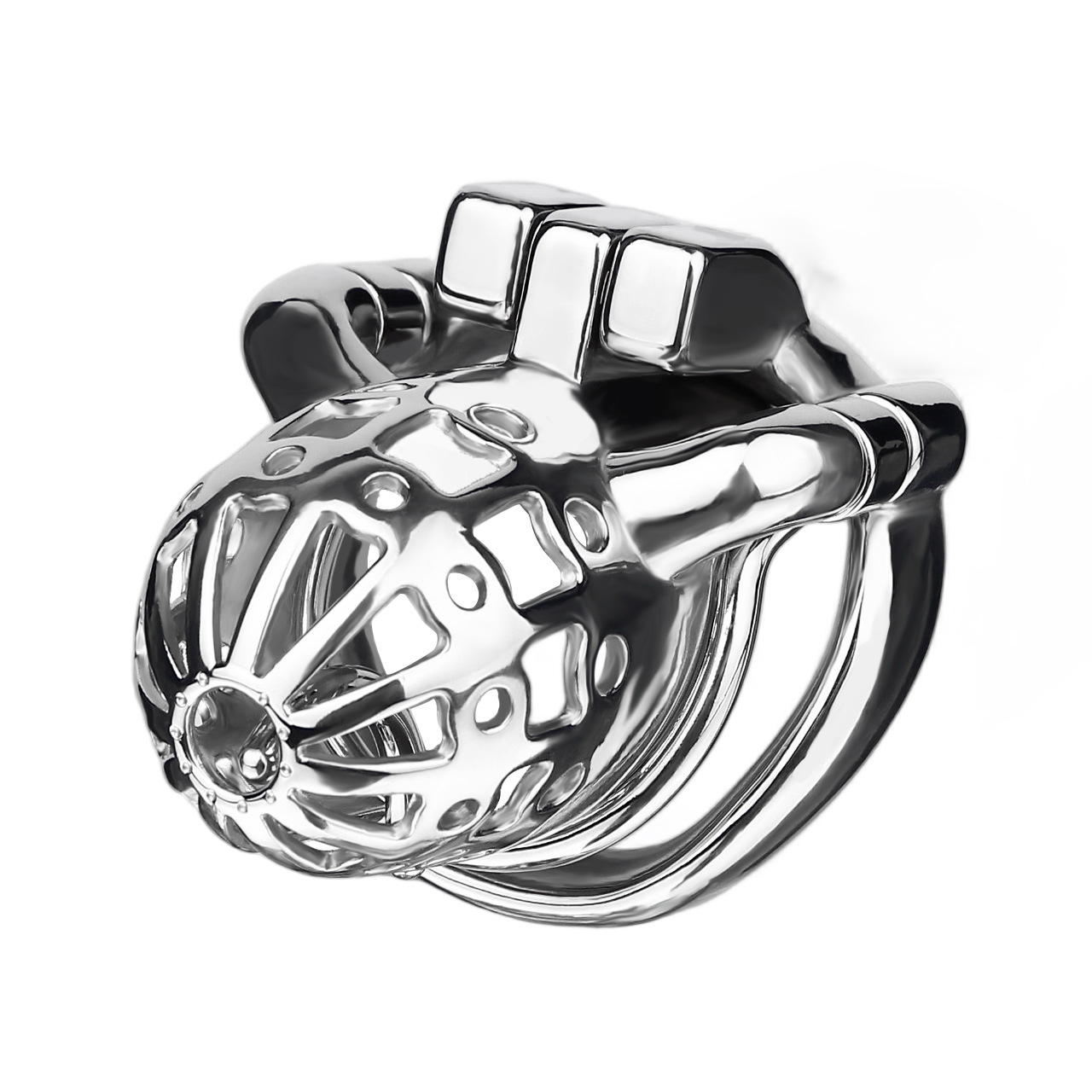 Breathable Stainless Steel PA Chastity Cage Prince Albert Penis Piercing Cock Lock