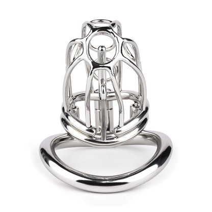 Metal PA Chastity Cage with Strap Prince Albert BDSM Cock Cage Sex Sadism