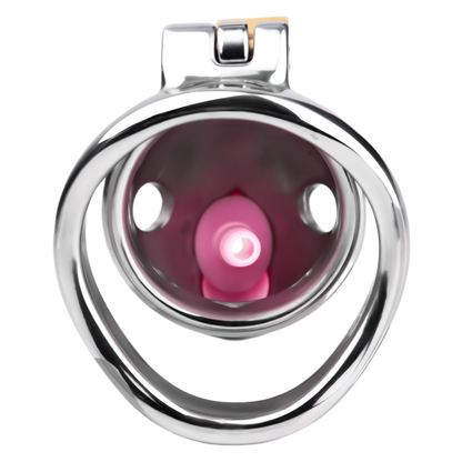 Solid Stainless Steel Goldfish Chastity Cage