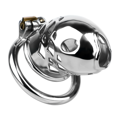 Solid Stainless Steel Goldfish Chastity Cage