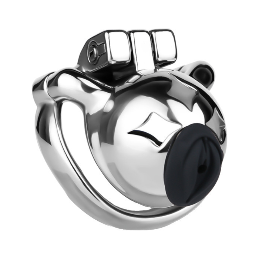 Small Metal Chastity Cage with Black or Pink Soft Pussy Catheter Cock Lock for Men and Sissy