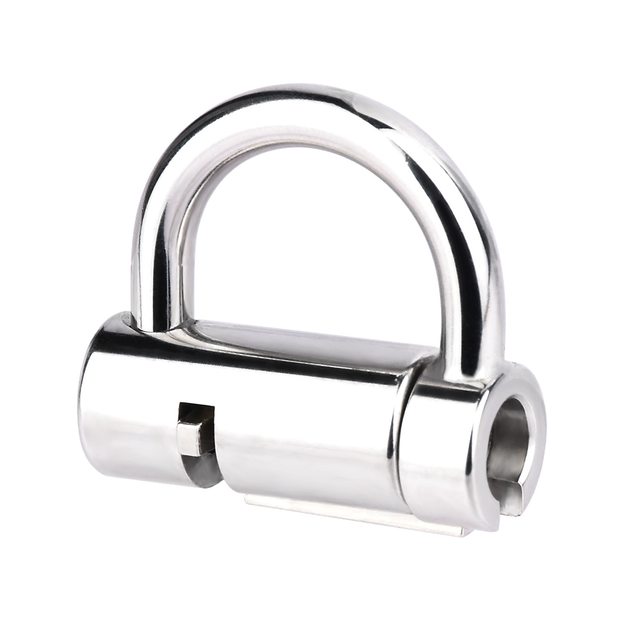 Stainless Steel Male PA Chastity Lock Penis Piercing D-Lock Ring Prince Albert Chastity Cage