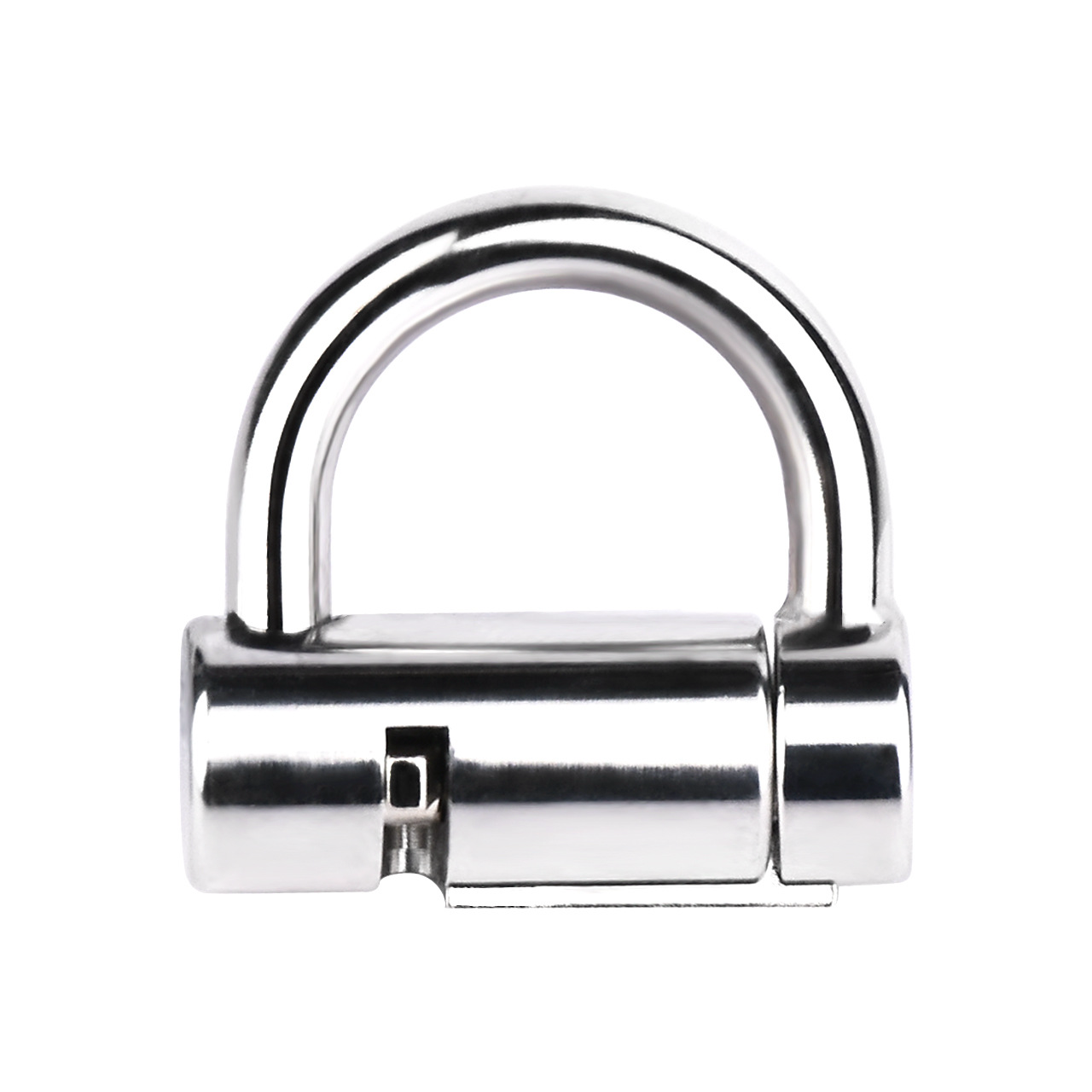 Stainless Steel Male PA Chastity Lock Penis Piercing D-Lock Ring Prince Albert Chastity Cage