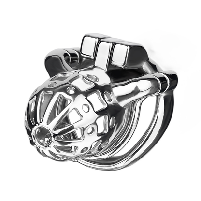 Breathable Stainless Steel PA Chastity Cage Prince Albert Penis Piercing Cock Lock