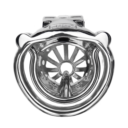Breathable Stainless Steel PA Chastity Cage Prince Albert Penis Piercing Cock Lock