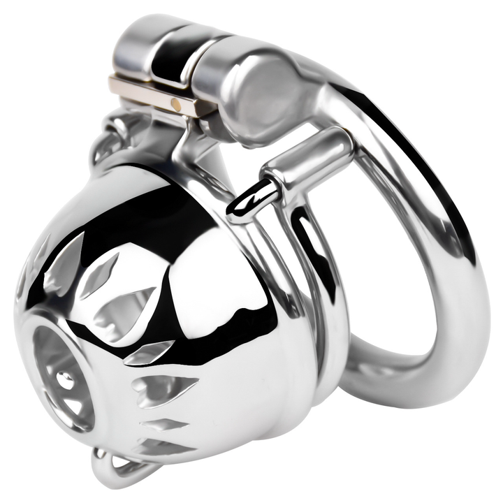 The Most Comprehensive Guide to Spiked Chastity Cages – SpikedChastity