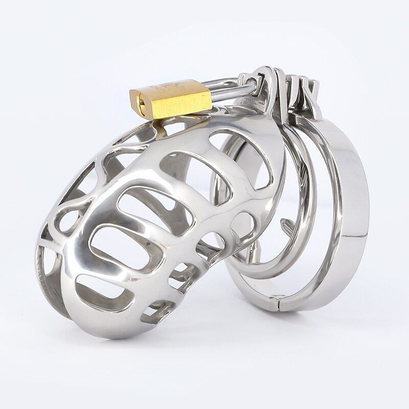 Hollowed Metal Chastity Cage with Removable Spiked Penis Ring - SpikedChastity