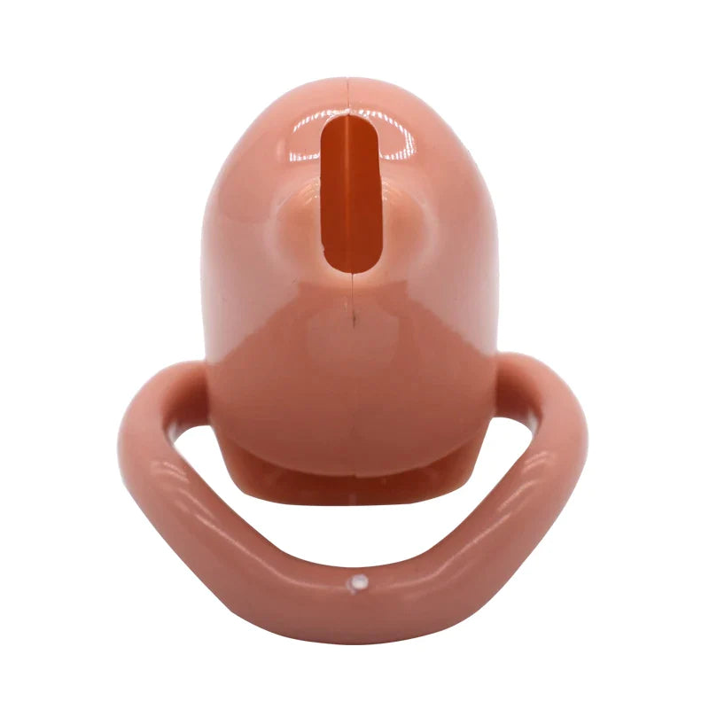 Dolphin Resin Chastity Cage - SpikedChastity