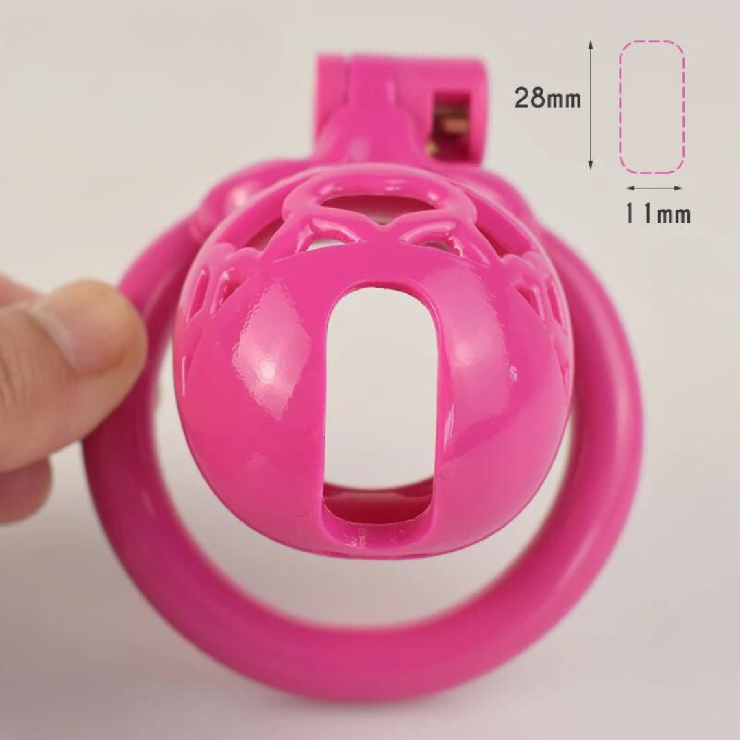 5 Colors Small Plastic Chastity Cage with 4 Sizes Penis Rings Sex Slave BDSM Toy Chastity Device