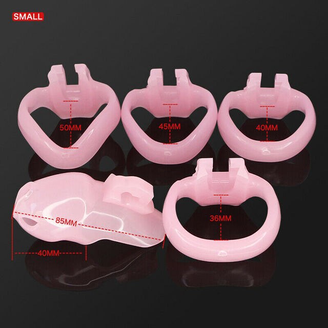 Holy Trainer HT-V4 Resin Chastity Cage Set - SpikedChastity