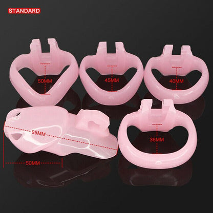 Holy Trainer HT-V4 Resin Chastity Cage Set - SpikedChastity