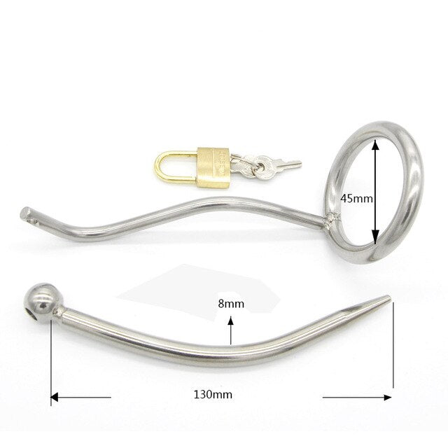 Metal PA Chastity Cage For Men Prince Albert Penis Piercing Cock Cage SpikedChastity Metal PA Chastity Cage For Men Prince Albert Penis Piercing Cock Cage SpikedChastity