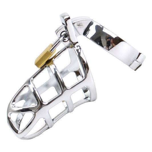 Metal Chastity Cage with Lock - SpikedChastity