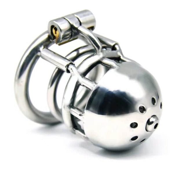 Metal PA Chastity Cage Prince Albert Small Cock Cage Piercing Fetish ...